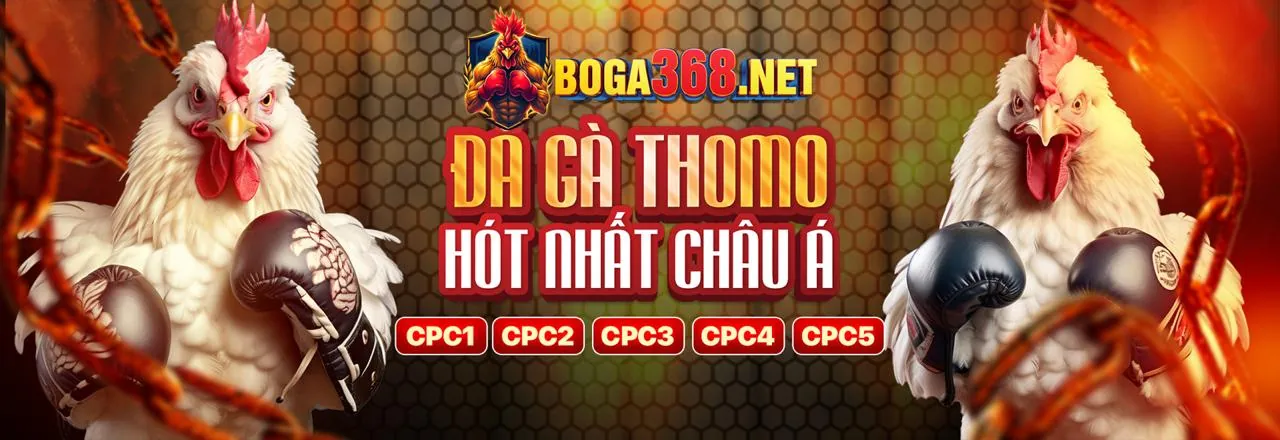 Các cấp độ VIP của fun88sc